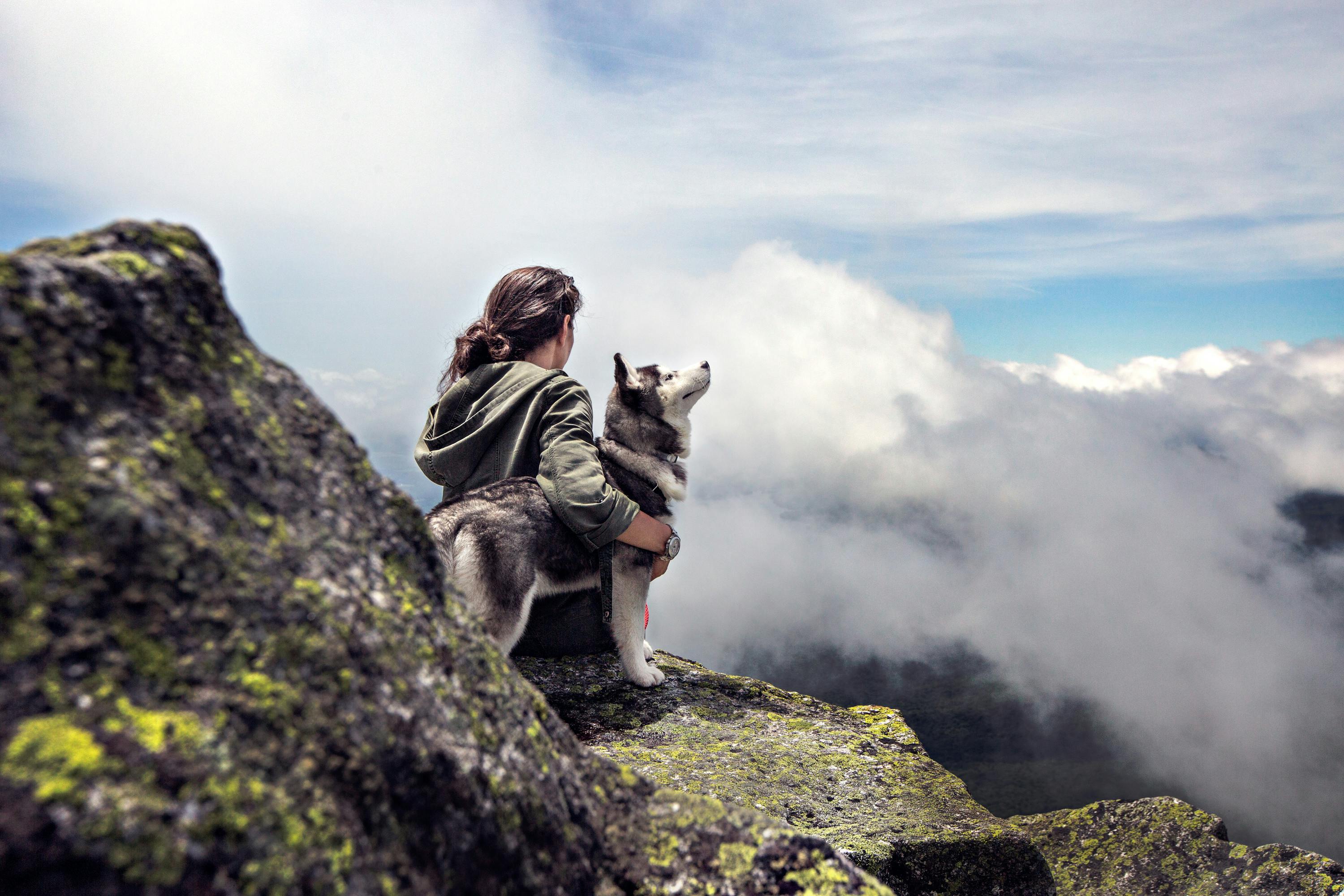 Rejs med din hund: Den ultimative guide til en problemfri ferie med din firbenede ven