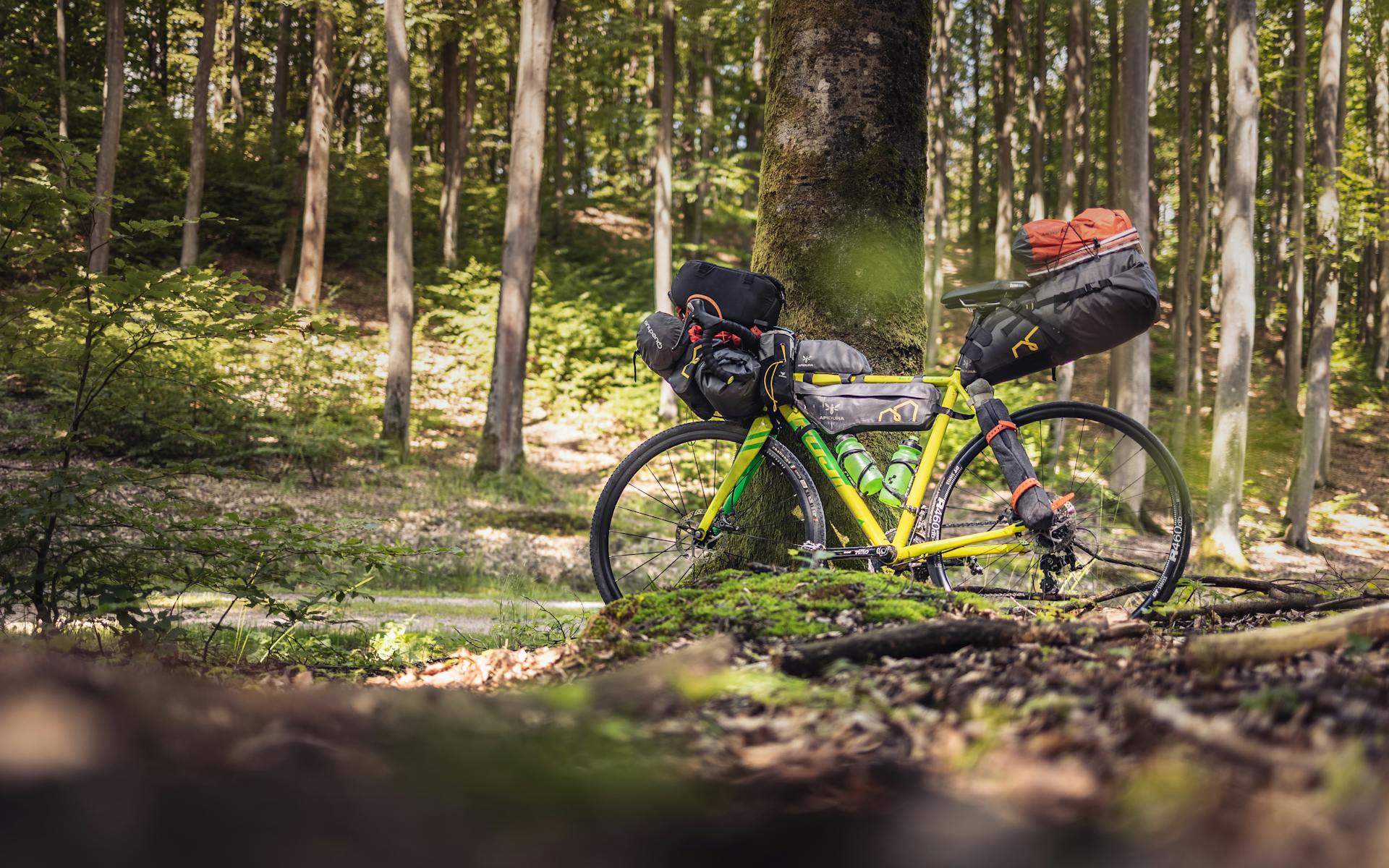 Tag på cykelferie – frihed på to hjul