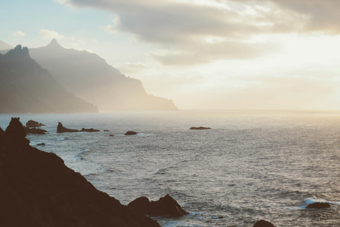 Afbudsrejse til Tenerife